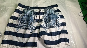 Swim Shorts